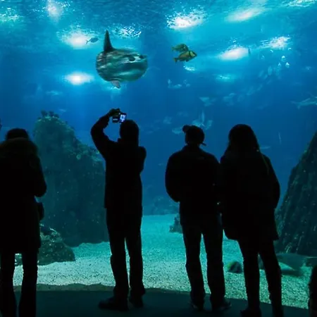 Sun River View Balcony Апартаменты