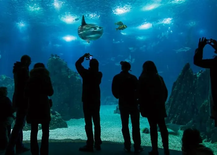 Sun River View Balcony Apartment
